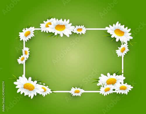 Chamomile frame with space for text.Flower frame. Floral border.Spring flowers frame composition. Sale background design