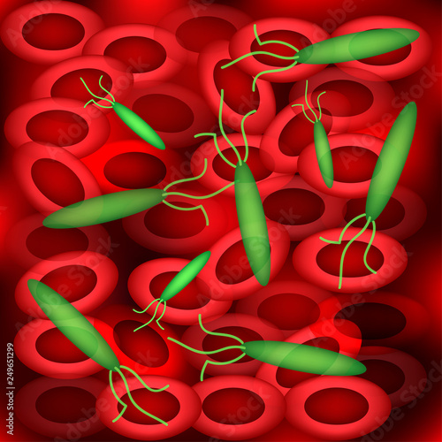 Background of erythrocytes. Sepsis. Blood poisoning bacterium Escherichia coli. Vector illustration