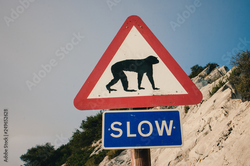 Road sign warning about the presence of monkey (macaques) in the Rock Natural Reserve, Gibraltar, United Kingdom