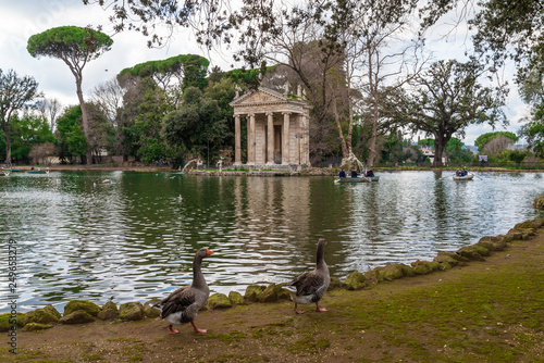 Rome (Italy) - The historic center of Rome with Villa Borghese monumental park, the monumental Lungotevere with Tiber river and Isola Tiberina island photo