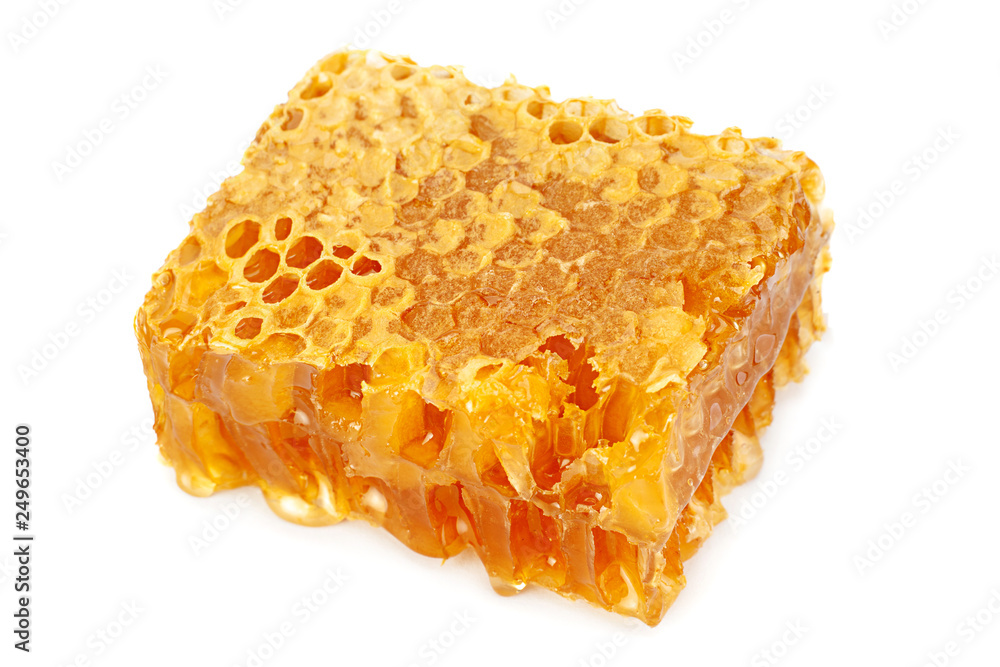 Yellow Honeycomb slice closeup Yellow Honeycomb slice closeup