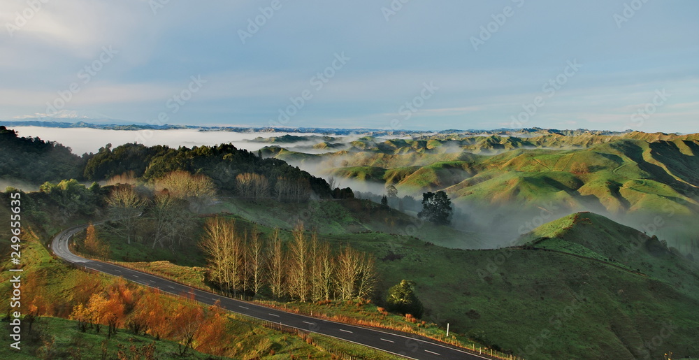 Road leading through the green hills with clouds rolling over them during the sunrise on North Island of New Zealand.