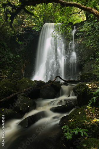 Long exposure of Matai Falls in forest of the Catlins Park. South Island  New Zealand.