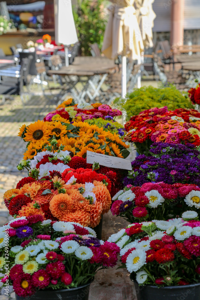 Flowers, fruits and vegetable vendors at the Farmer's market in Freiburg, Germany.