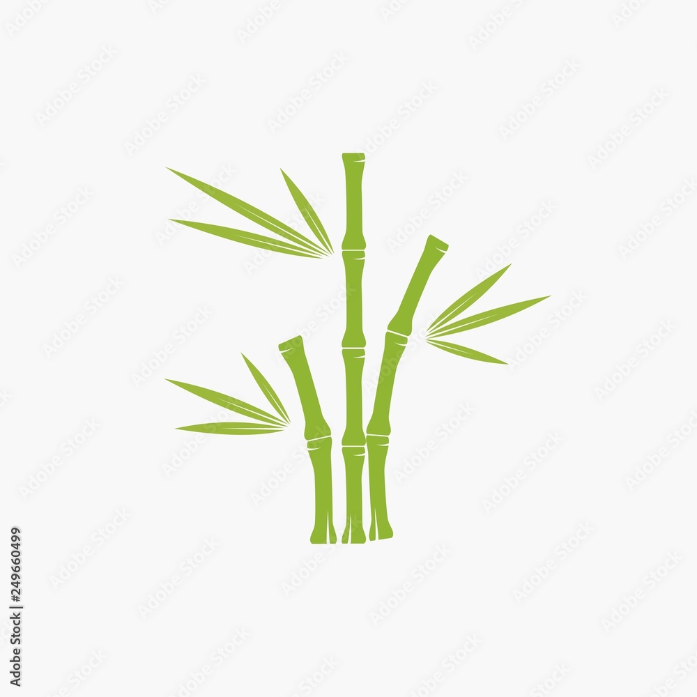 Obraz premium bamboo tree logo