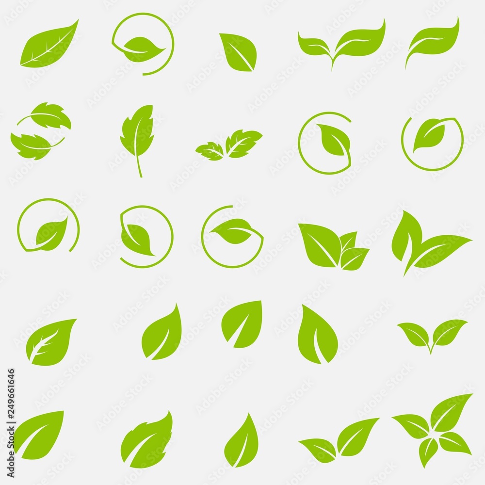 Fototapeta Wektorowa kolekcja z zielonymi liśćmi w mieszkaniu projektuje dla ikon i graficznego projekta