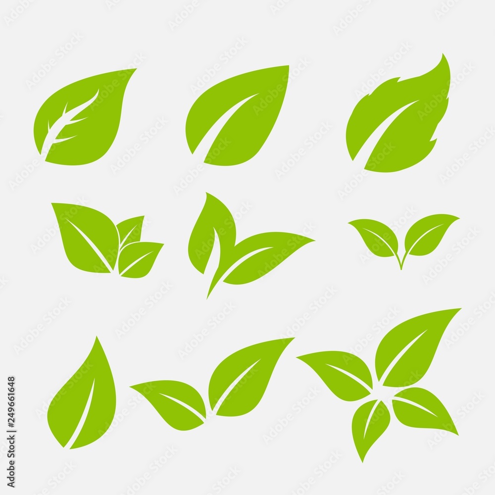 Vector collection with green leaves in flat style for icons and graphic design Vector collection with green leaves in flat style for icons and graphic design