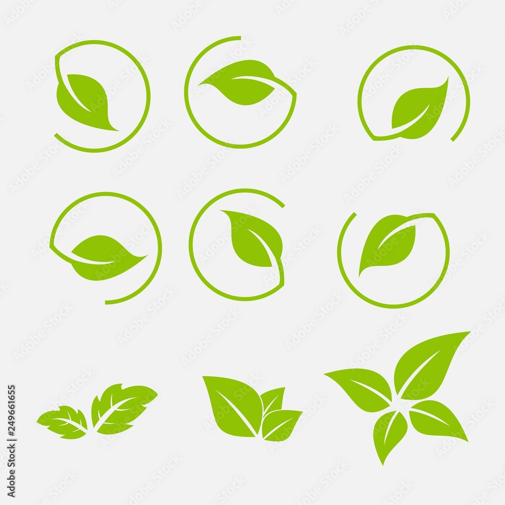 Vector collection with green leaves in flat style for icons and graphic design Vector collection with green leaves in flat style for icons and graphic design