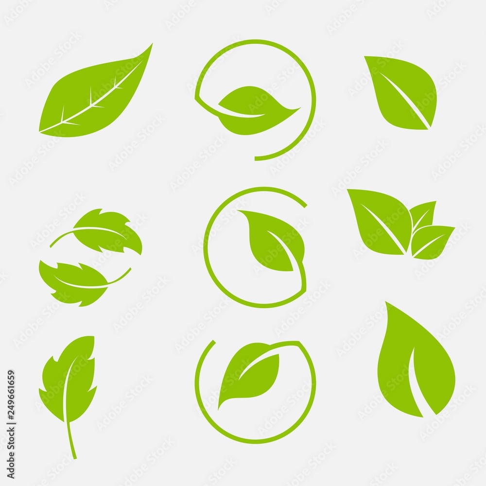 Vector collection with green leaves in flat style for icons and graphic design Vector collection with green leaves in flat style for icons and graphic design