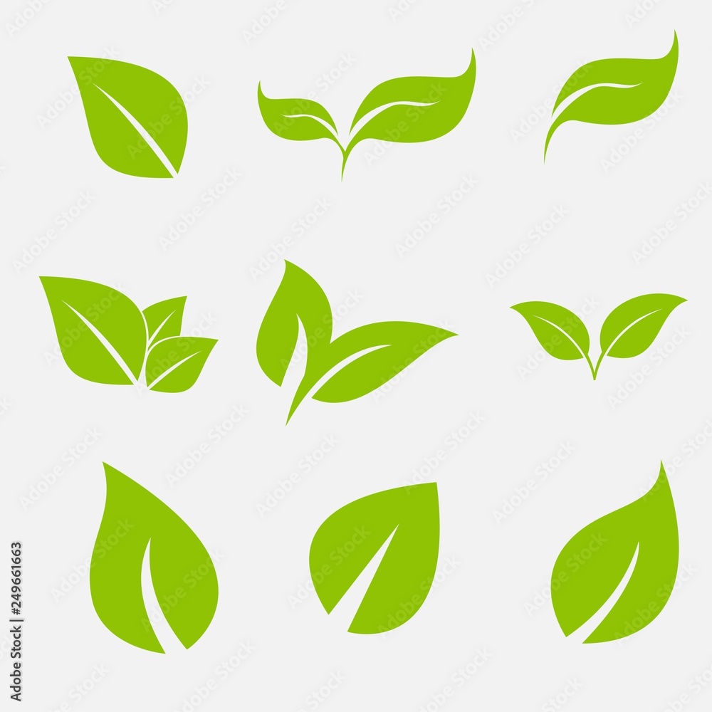 Vector collection with green leaves in flat style for icons and graphic design