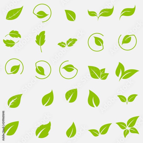 Fényképezés Vector collection with green leaves in flat style for icons and graphic design