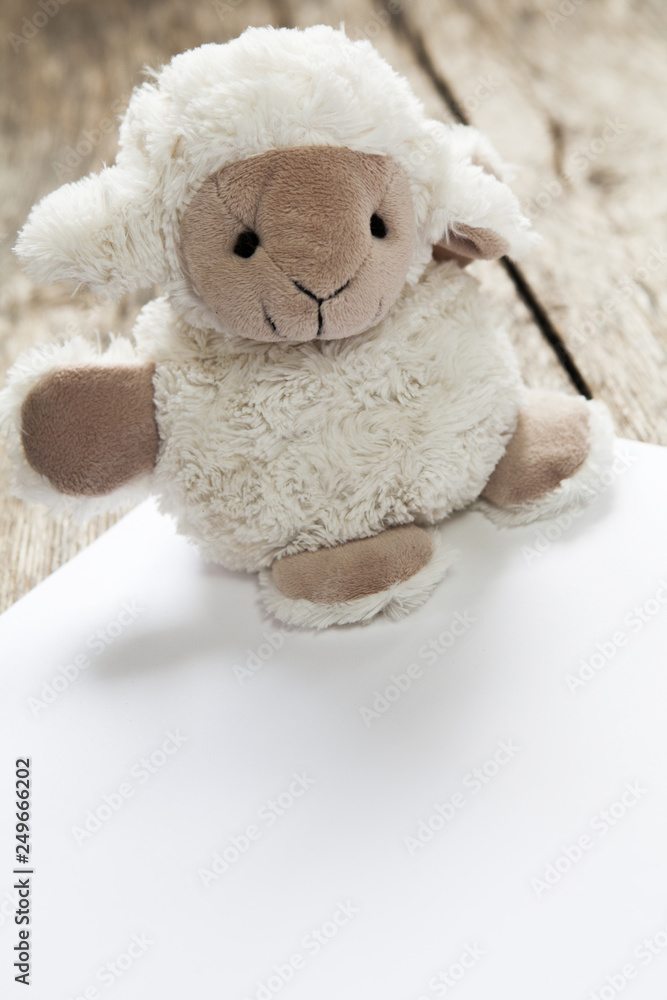 ours en peluche mouton