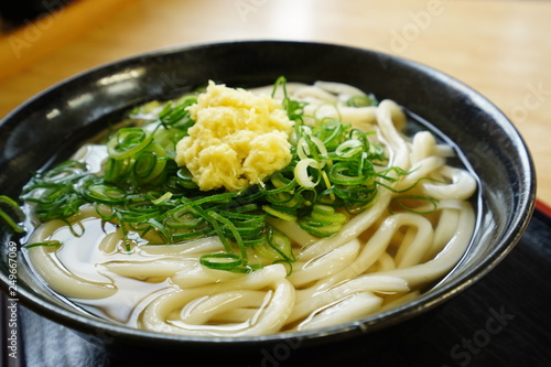 讃岐うどん photo