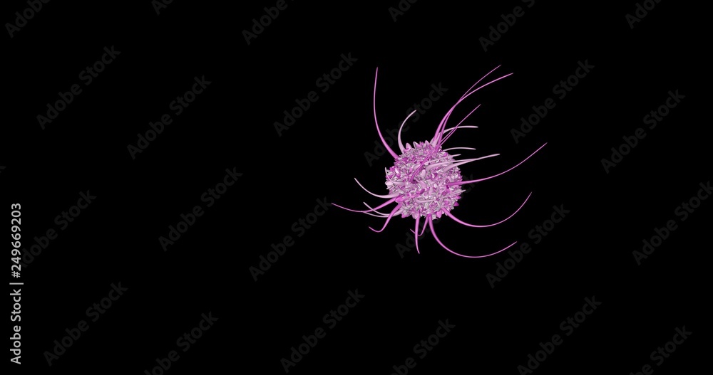Immune Cell T-cell immune system concept immunotherapy treatment in cancer metastasis Immune Cell T-cell immune system concept immunotherapy treatment in cancer metastasis