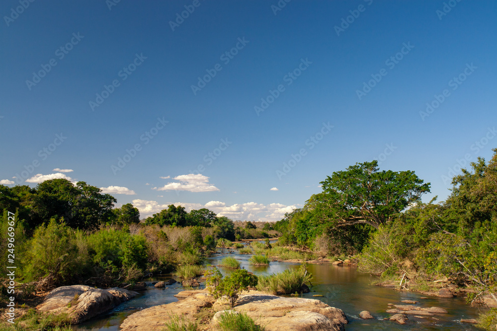 African landscape in the Kruger National Park, South Africa