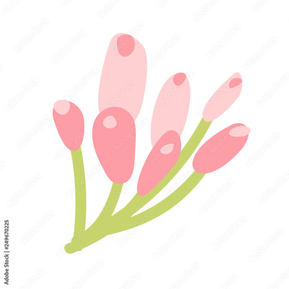 Cute vector isolated Flower on white background. Spring hand drawn Nature illustration flat design. For greeting card, print, children book Cute vector isolated Flower on white background. Spring hand drawn Nature illustration flat design. For greeting card, print, children book