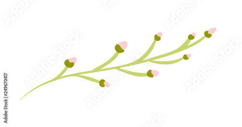 Vector flat abstract green plants flower herbs icon. Meadow garden spring easter, women day romantic holiday, wedding invitation card decoration element summer floral Illustration white background