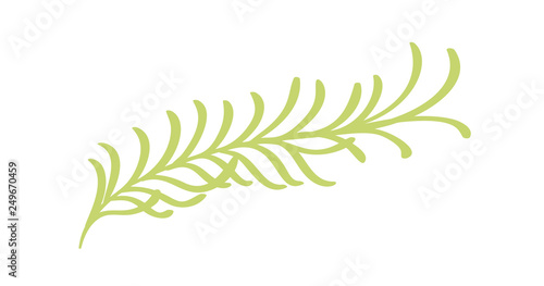 Vector flat abstract green plants flower herbs icon. Meadow garden spring easter, women day romantic holiday, wedding invitation card decoration element summer floral Illustration white background