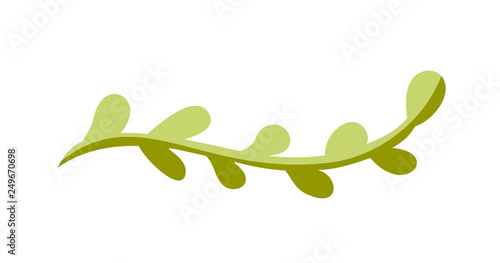 Vector flat abstract green plants flower herbs icon. Meadow garden spring easter, women day romantic holiday, wedding invitation card decoration element summer floral Illustration white background