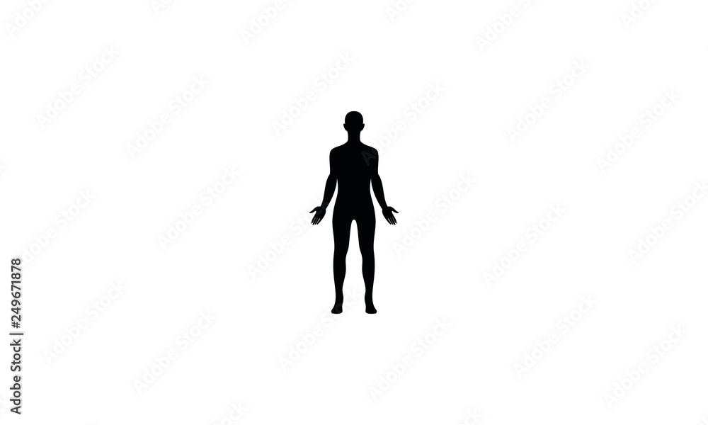 Human body vector Human body vector
