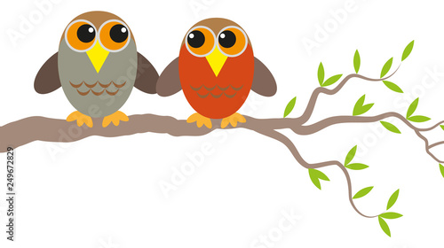 two owls in love on a branch