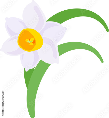 可愛い水仙のベクターイラスト Stock Vector Adobe Stock 可愛い水仙のベクターイラスト Stock Vector Adobe Stock