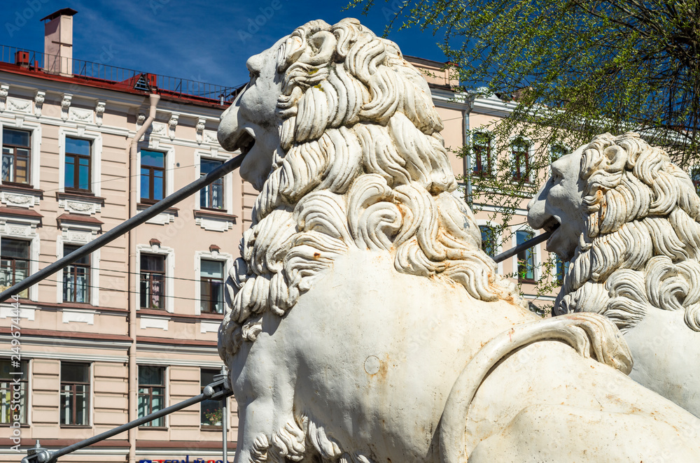 The Lion Bridge in St. Petersburg. White iron lions of the bridge support. The historic beautiful bridge is a tourist attraction. St. Petersburg, Russia, May 16, 2018