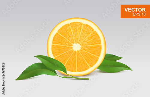 Slice of orange realistic 3D illustration, design element