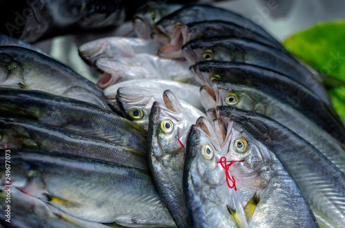 Various fish on the counter fish shop photo