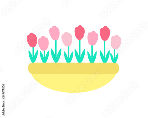 Tulips grown in clay pot vector isolated icon. Spring pink and red color flowers with green stems and leaves, growing in ground or sand, springtime decorative elements © robu_s