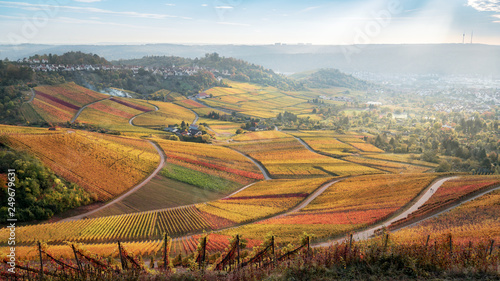 Grabkapelle Rotenberg in Herbstfarben, Abendspaziergang zum Sonnenuntergang, stuttgart, Bad Cannstatt, Weinberg, Wein