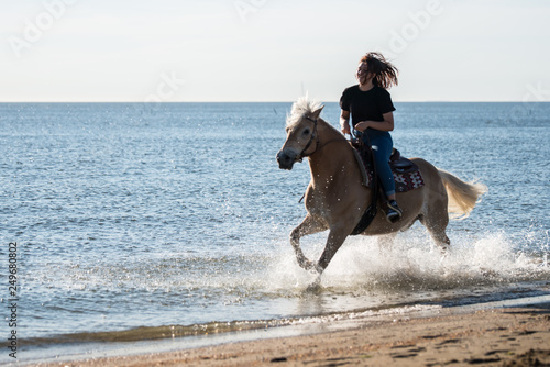 girl riding on haflinger horse in the sea