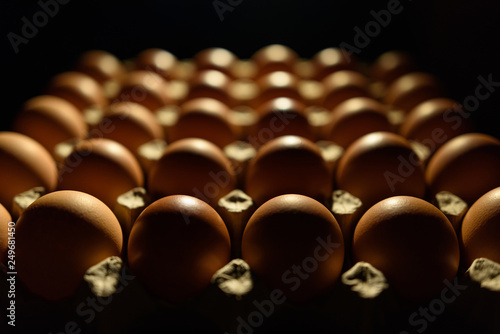 Fresh brown egg on black background, tray of chicken eggs