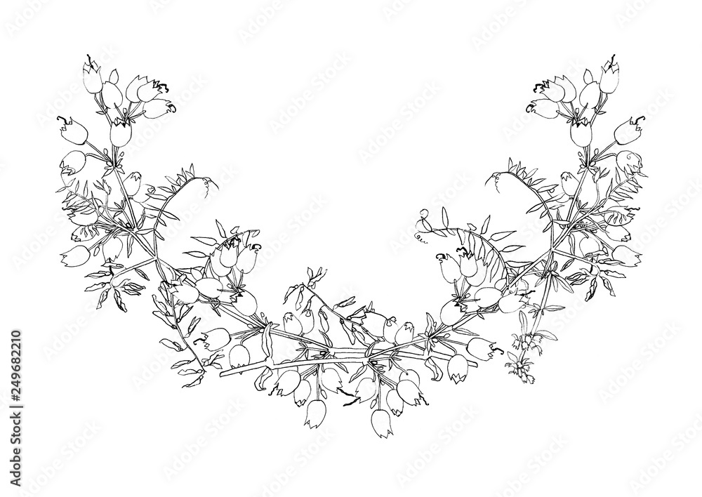 Fototapeta premium Engraving flower pattern