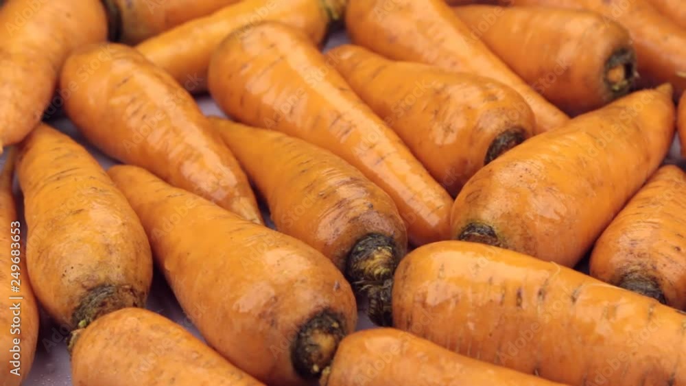 Raindrops falling on rotating carrots. Close-up. Raindrops falling on rotating carrots. Close-up.