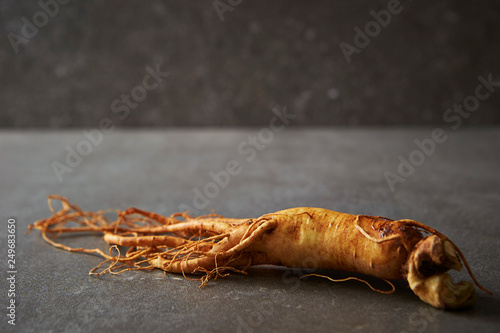 Korean ginseng root  photo
