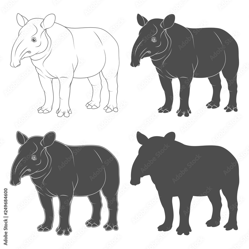 Fototapeta premium Set of black and white illustrations of tapir. Isolated vector objects on white background.