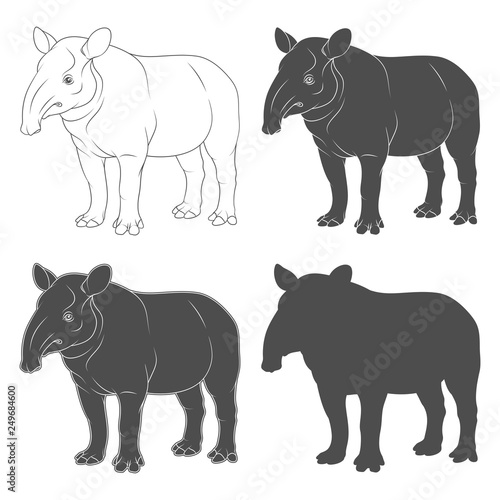 Set of black and white illustrations of tapir. Isolated vector objects on white background.