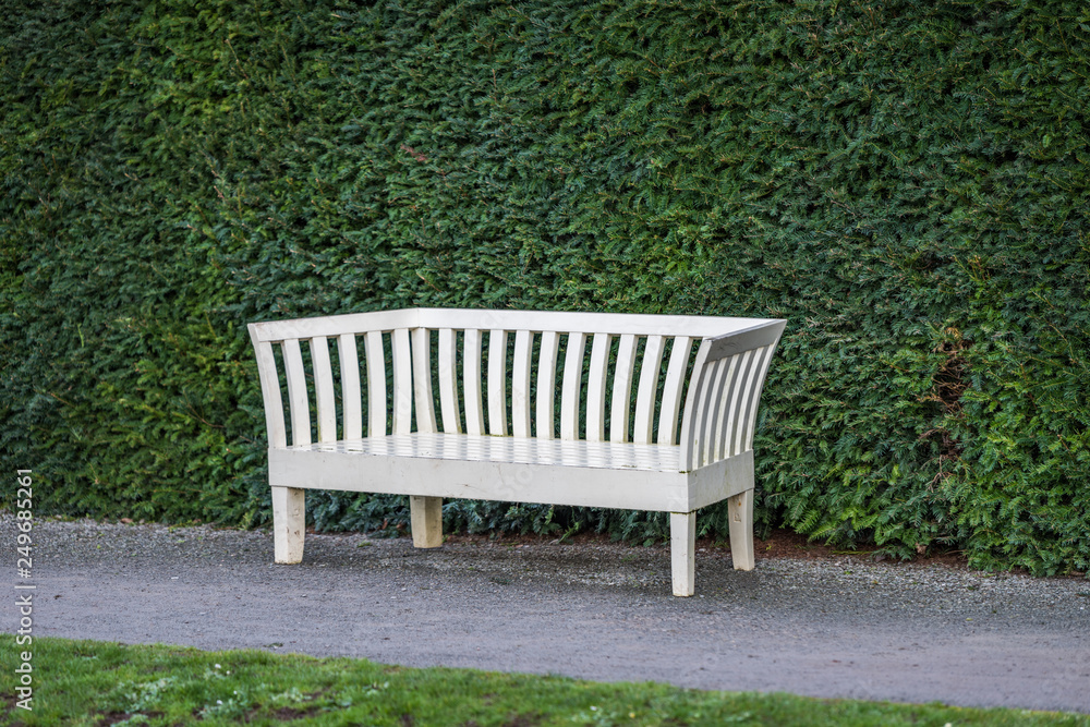Victorian White wooden Park Bench in front of a large hedge.