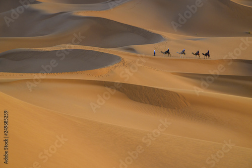 Fotografia Camel caravan with drover among sand dunes