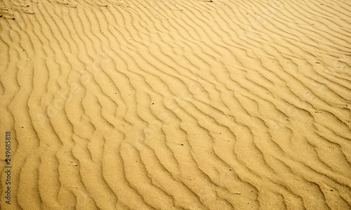 Fototapeta Naklejka Na Ścianę i Meble -  Beautiful patterns of sand dunes, formed by the wind on the sandy coast