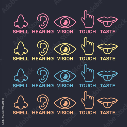 Sets of icons representing the five senses. Sight, smell, hearing, touch, taste icons vector