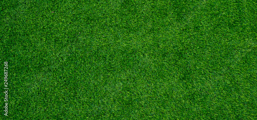 grass field background, green grass, green background © waranyu