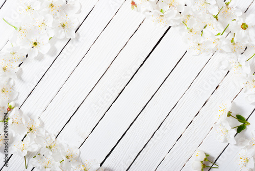 cherry blossom spring background, white wood © tstock
