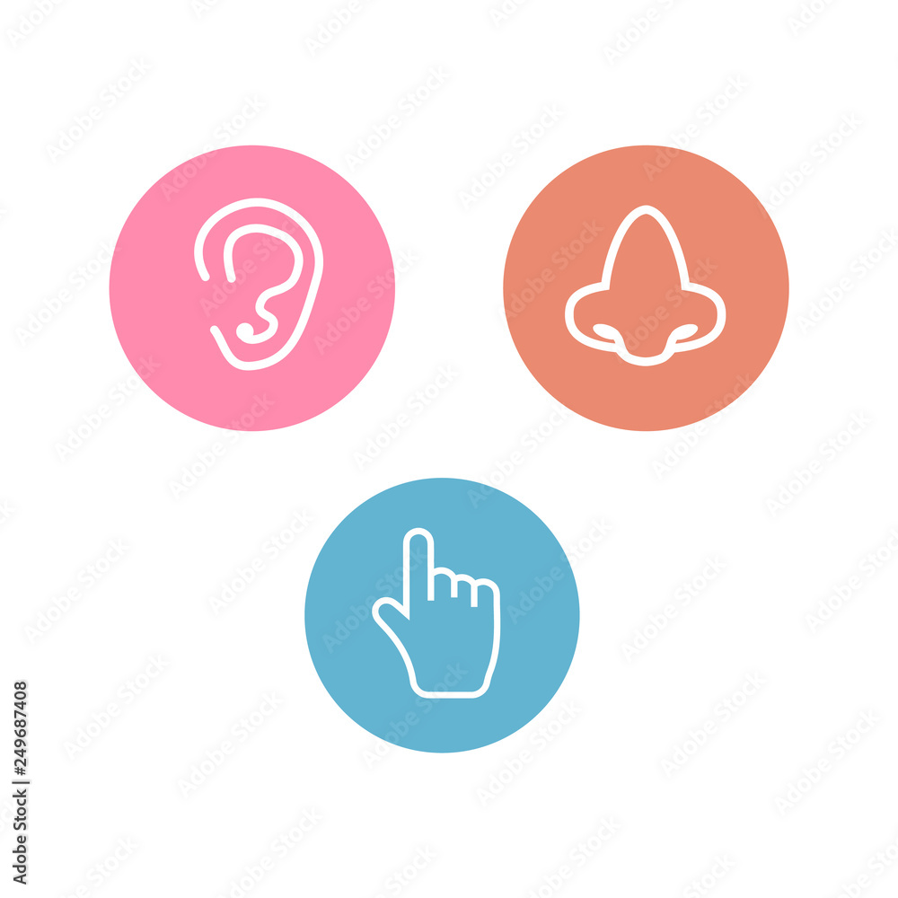 Five senses icon. Sets of icons representing the five senses Five senses icon. Sets of icons representing the five senses