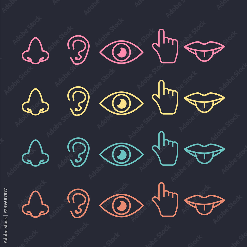 five senses icon. Sight, smell, hearing, touch, taste icons vector