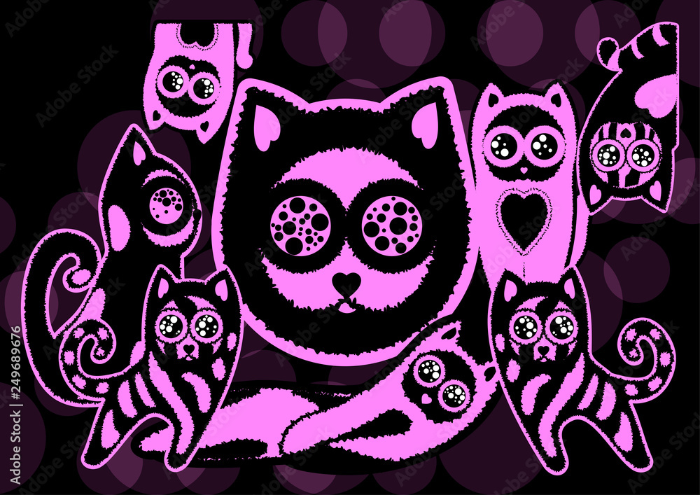 cats famaly cats famaly