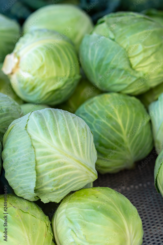 Green cabbage for sale at a farmer's market stall Green cabbage for sale at a farmer's market stall