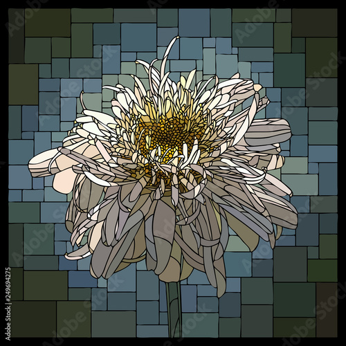 Vector stained glass window with blooming terry camomile.