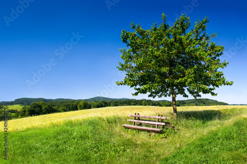 Entspannen auf einer Holzbank im Grünen